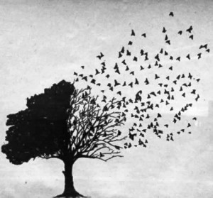 12345618_762880250504582_3916787776616807624_n